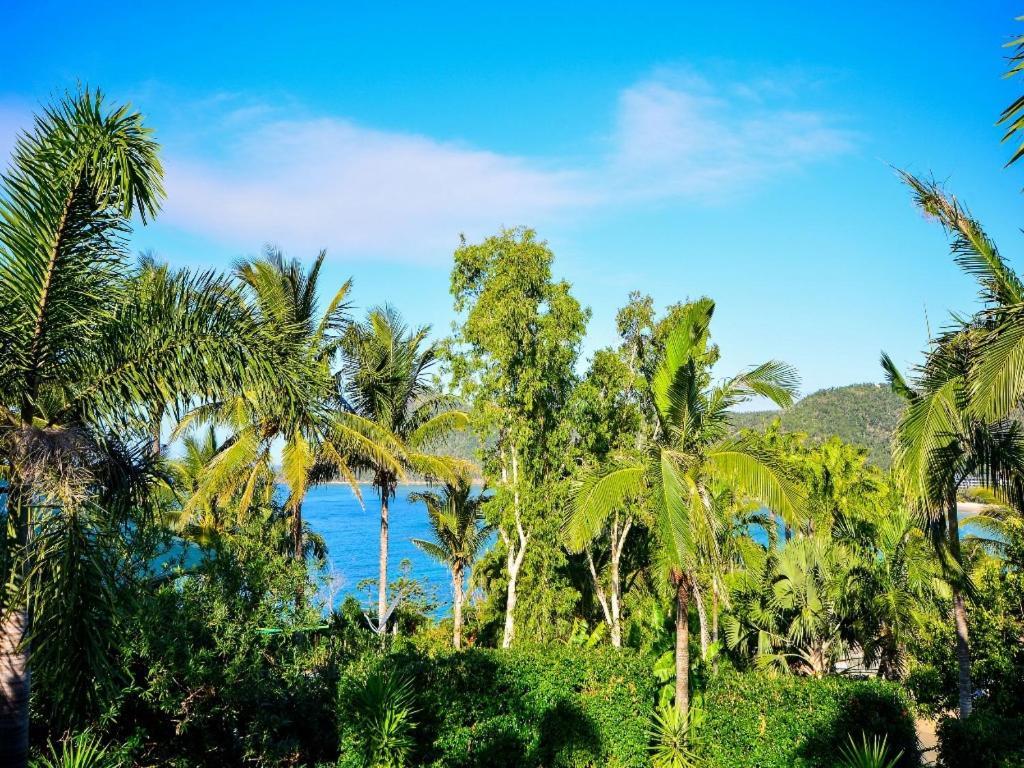 The Palms On Hamilton Island Villa Buitenkant foto