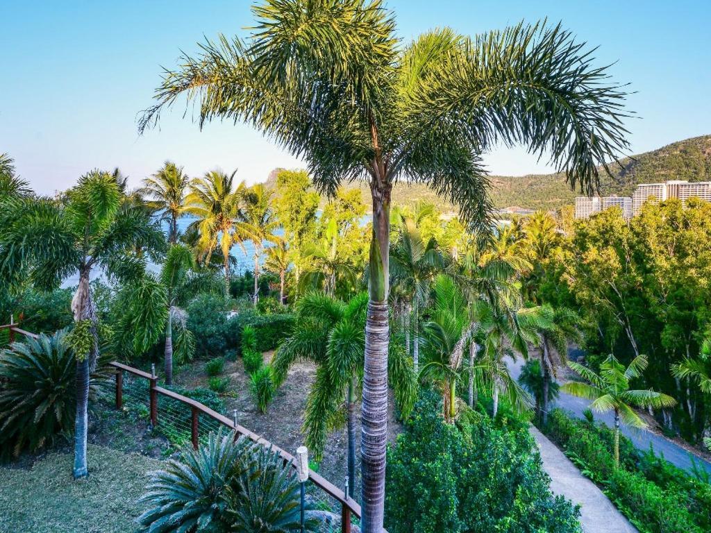 The Palms On Hamilton Island Villa Buitenkant foto